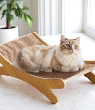 Multifunctioneel kattenbed met krabpaal en sofa