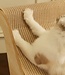Multifunctional cat bed with scratching post and sofa