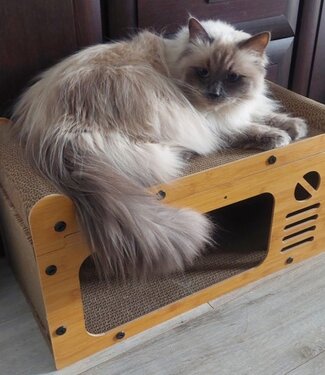 Ecologisch Krabpaal Kattenhuis  - Met 2 Verdiepingen