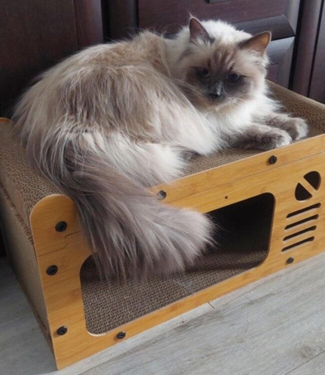 Eco-Friendly Two-Story Cat Scratching Hous