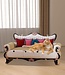 Cardboard Cat Sofa with Scratching Area