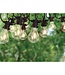 Lichtsnoer met 10 LED Filament - diameter 6cm