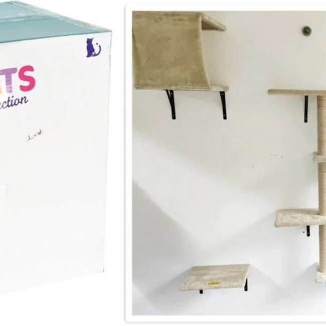 Katzenkletterset - Kletterwand