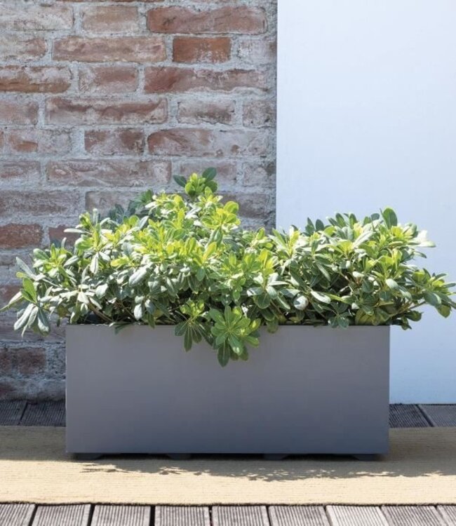 Millennium R Plantenbak – 97 L – Antraciet – Met waterreservoir en wielen