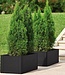 Rectangular Planter Natural Delux – Anthracite – 100x43xH33 cm