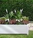 Rechthoekige Bloembak – Houten Afwerking – Wit – 100x43xH35 cm – 80 L