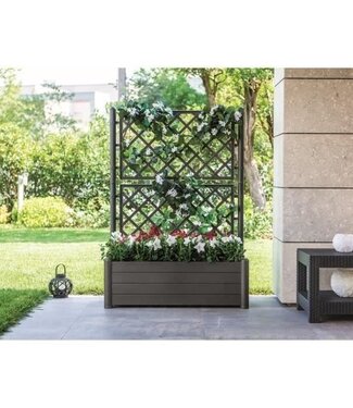 STEFANPLAST Tuinbak met Trellis – Grafiet – 100 x 43 x H 142 cm – 80 L