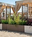 Tuinbak met Trellis – Vierkant – Taupe – 38 L – STEFANPLAST