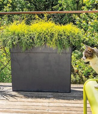 DEROMA XXL Plant Pot Muret Haut zoals r – Height 78 cm – Anthracite – Deroma