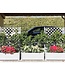 Tuinbak met Trellis Italia – Rechthoekig – Steengrijs – 100 x 43 x 142 cm