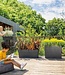 XXL Plantenbak Muret Haut zoals r – Hoogte 78 cm – Antraciet