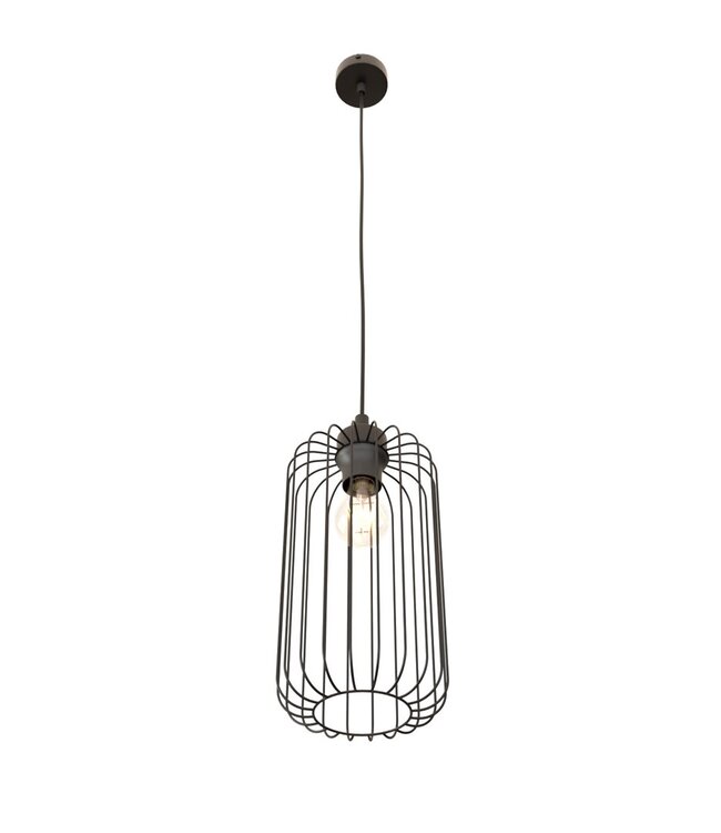 Pendant Lamp – Industrial / Modern / Minimalist – 1-Light – Black Metal – Adjustable Height