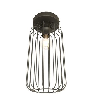 Ceiling Lamp – Industrial – 1-Light – Black Metal