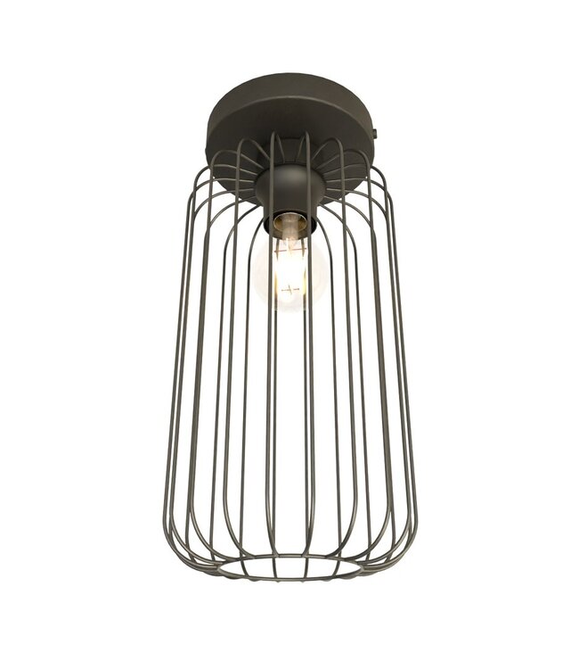 Ceiling Lamp – Industrial – 1-Light – Black Metal