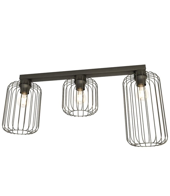 Ceiling Lamp – Industrial – 4-Light – Black Metal