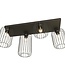 Ceiling Lamp – Industrial – 4-Light – Black Metal