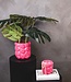 Pot - Kusjes - Keramiek - Neonroze - 17,5x17,5x17,5cm