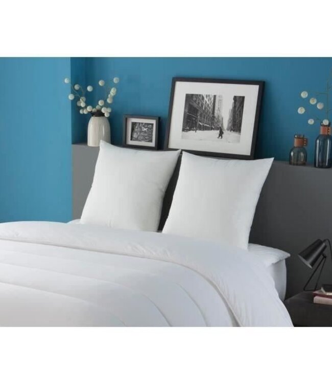 Set of 2 DODO Seduction Cushions 60x60 cm – Whit