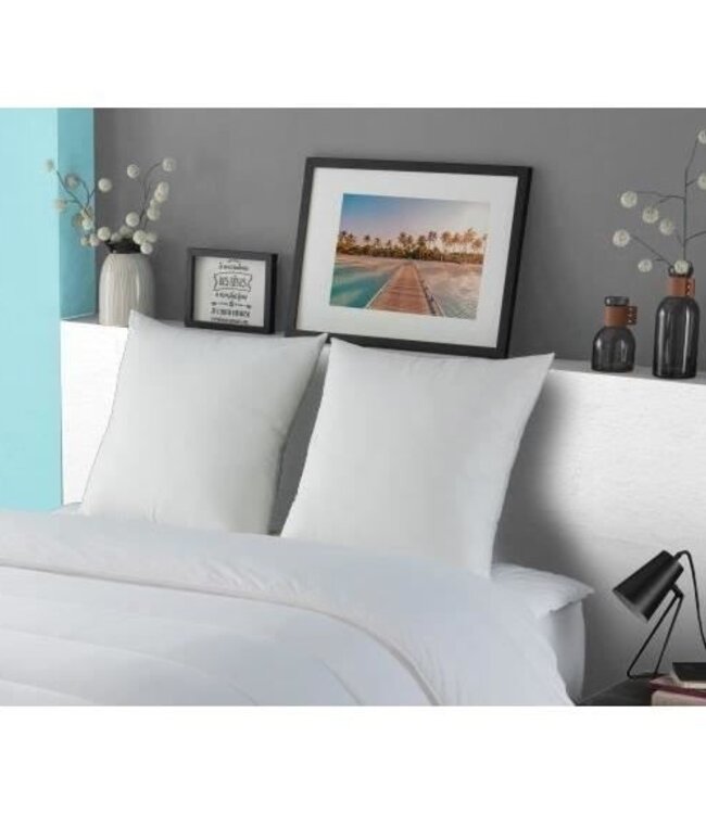 Pillow 60x60 cm – 100% Cotton – Down-Like Effect