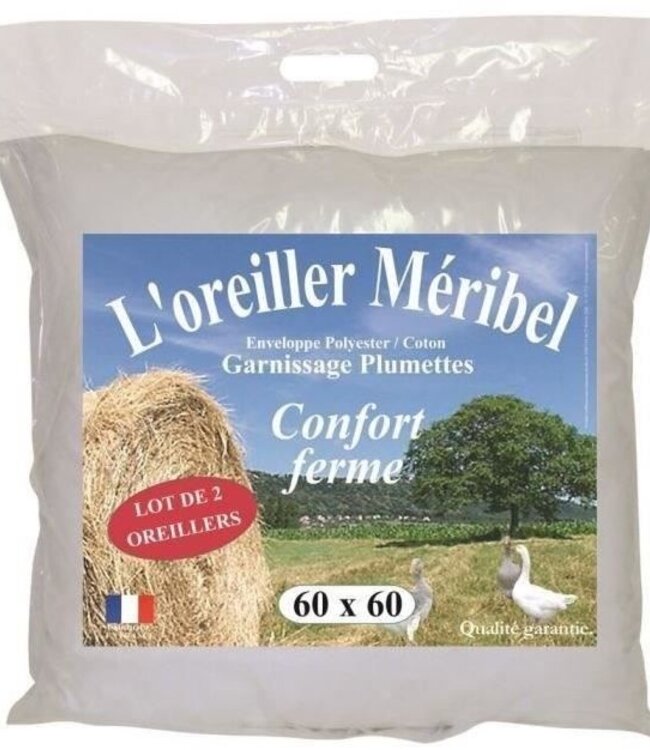 Set of 2 MERIBEL Plumettes Cushions 60x60 cm