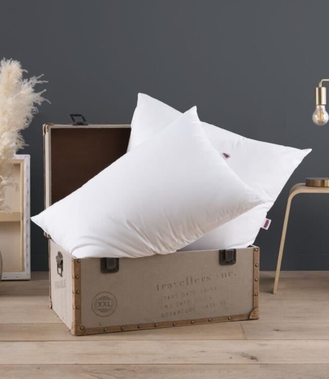 Set of 2 DODO THE ESSENTIAL Pillows 50x70 cm