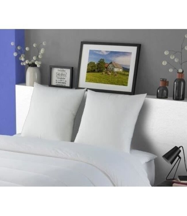 Set of 2 MERIBEL Plumettes Cushions 60x60 cm