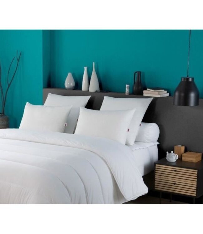 Set of 2 DODO Pillows 50x70 cm – 100% Polyester – Trendy