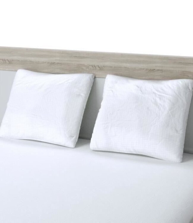 Total Protect Pillows 65x65 cm – White