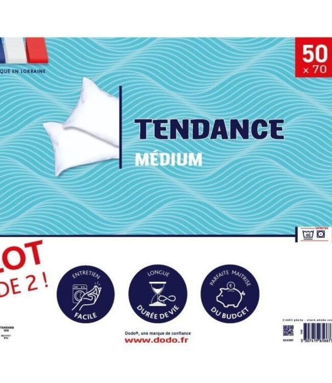 Set of 2 DODO Pillows 50x70 cm – 100% Polyester – Trendy