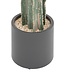 Cactus "Exotic Panama" Artificial Plant – Plastic Pot – H.117 cm
