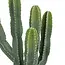 Cactus "Exotic Panama" Artificial Plant – Plastic Pot – H.117 cm