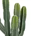 Cactus "Exotic Panama" Artificial Plant – Plastic Pot – H.117 cm