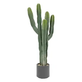 Atmosphera Cactus "Exotic Panama" Artificial Plant – Plastic Pot – H.117 cm
