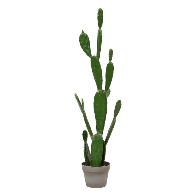 Artificial Cactus "Yuca" – Green – Potted Plant – H.109 cm