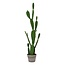 Artificial Cactus "Yuca" – Green – Potted Plant – H.109 cm