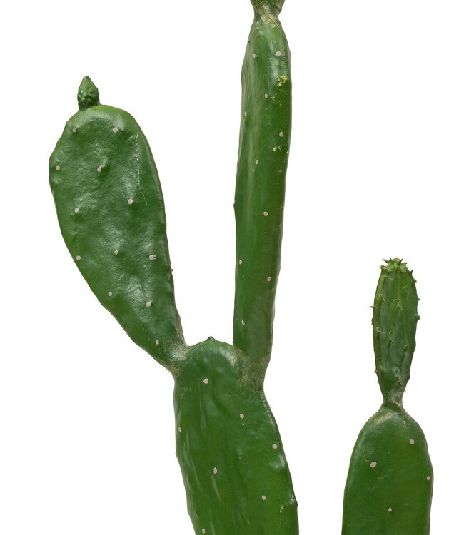 Kunstcactus -Yuca – Groen– H.109 cm