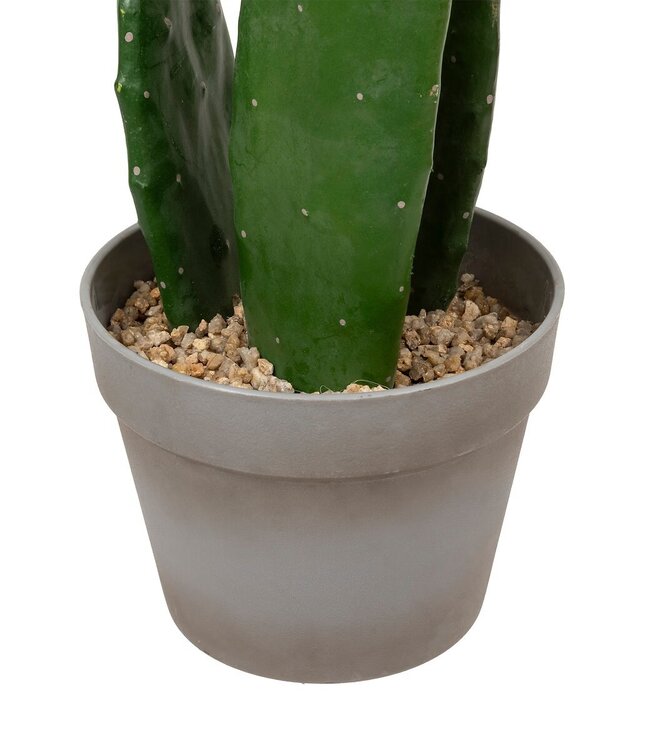 Artificial Cactus "Yuca" – Green – Potted Plant – H.109 cm