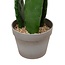 Artificial Cactus "Yuca" – Green – Potted Plant – H.109 cm
