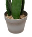 Artificial Cactus "Yuca" – Green – Potted Plant – H.109 cm