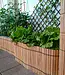 Bamboo Roll Border - Bamboo Roll - 200cm - Light