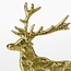 Mica Decorations Aluminium Christmas Reindeer Decoration - Gold