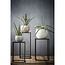 Mica Decorations Goa Iron Side Tables - Black - Set of 2