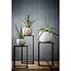 Mica Decorations Goa Iron Side Tables - Black - Set of 2