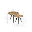 Mica Decorations Jailey Teak Side Tables - Brown - Set of 2