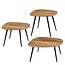 Bijzettafel set Bruin 3Teak hout