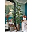 Mica Decorations Yonker Teak Plant Tables - Brown - Set of 2