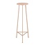 Mica Decorations Plantentafel Lichtroze 1Ijzer