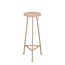 Mica Decorations Plantentafel Lichtroze 1Ijzer