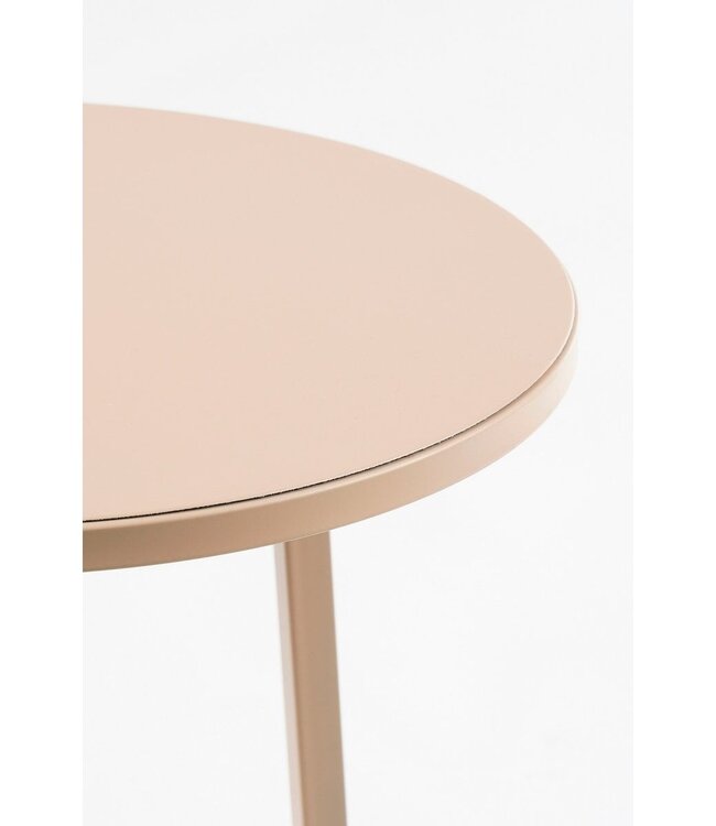 Plantentafel Lichtroze 1Ijzer