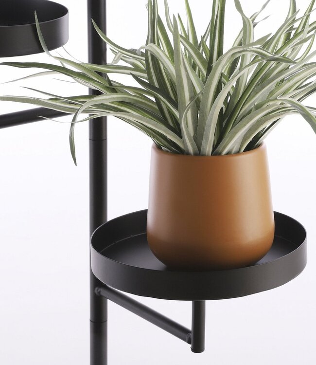 Wandrek Zwart 1Ijzer